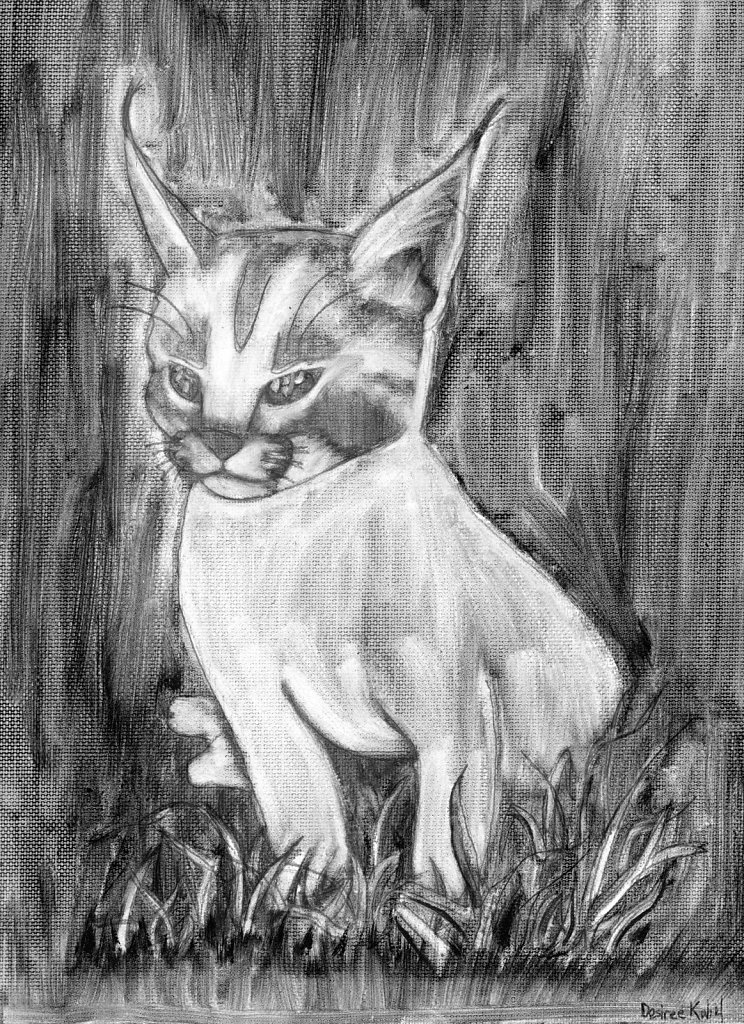 Paint-8x10.jpg